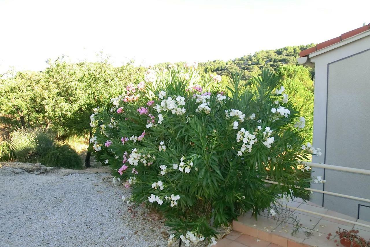 Gite Charlrose At La Platriere Cazedarnes Exterior photo