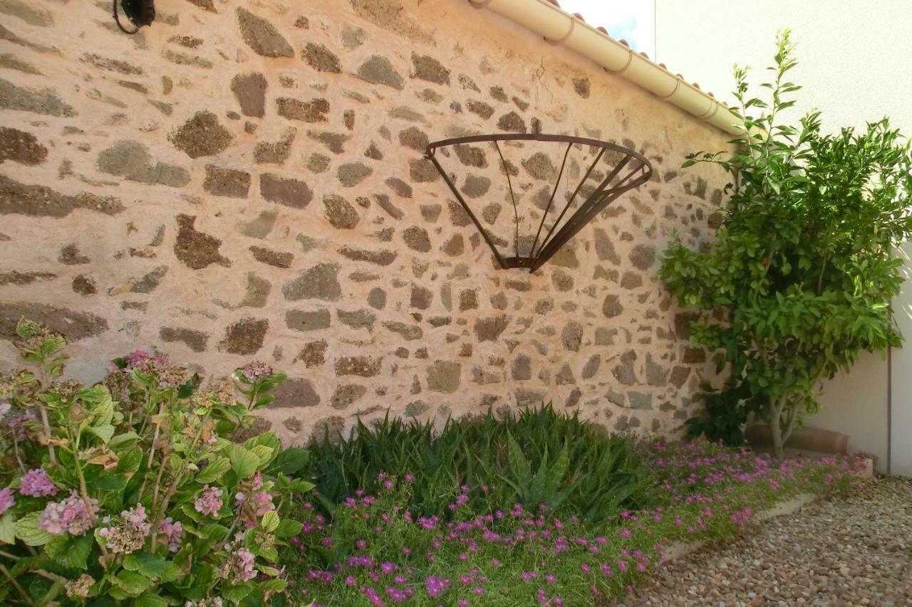 Gite Charlrose At La Platriere Cazedarnes Exterior photo